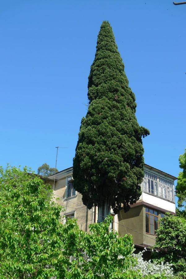Old Town Guesthouse 苏呼米 外观 照片